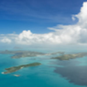 Meet your Posher, Irene